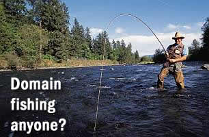 Domain fishing