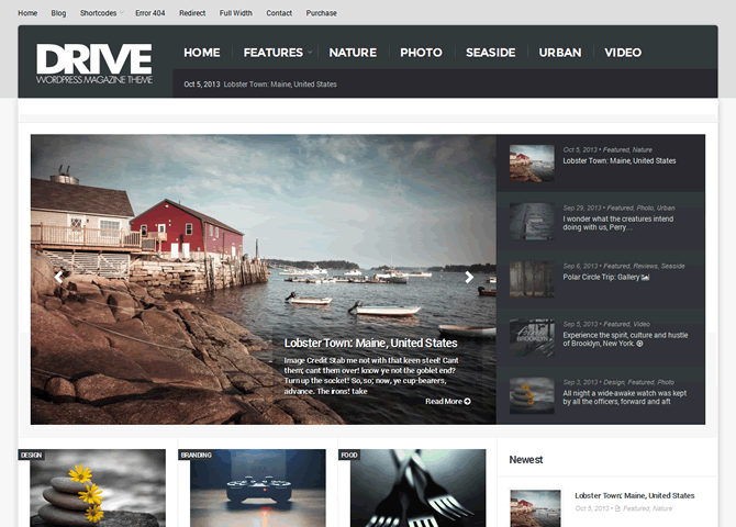 drive responsive wordpress theme